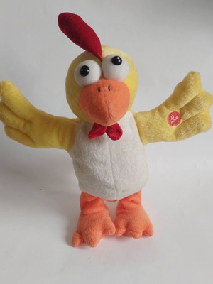 Interactive toy used with functions
