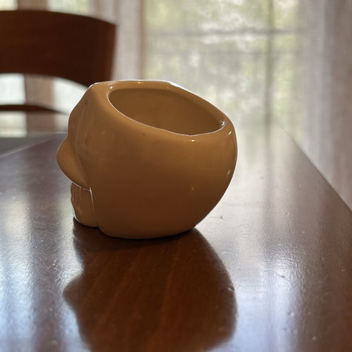 Ceramic Skull Planter like new for small plants