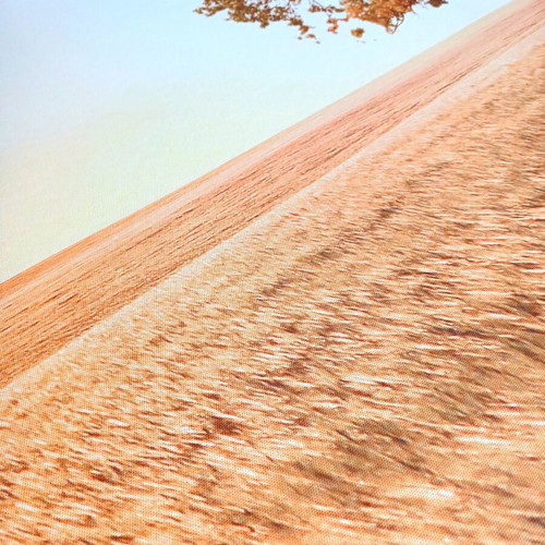 Triptych canvas set used with solitary tree in golden meadow