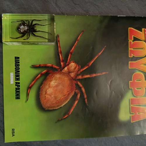 Real Bugs Issue 2 used