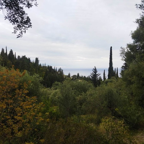 Land Plot 1,000 sq.m. with Sea View near Agios Nikitas Lefkada