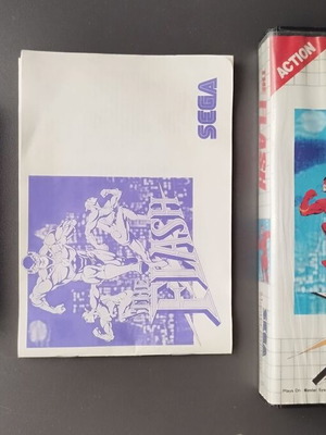Sega Master System The Flash game used, works normally