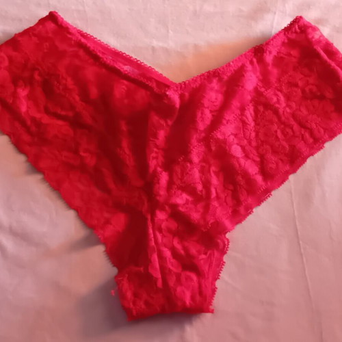 Brazilian lace red panties