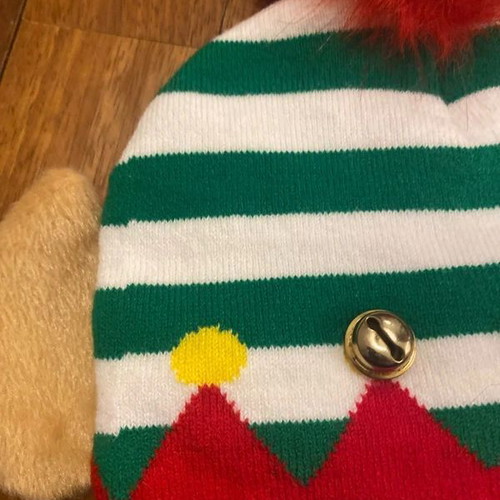 Carnival hat used with pom pom and bells