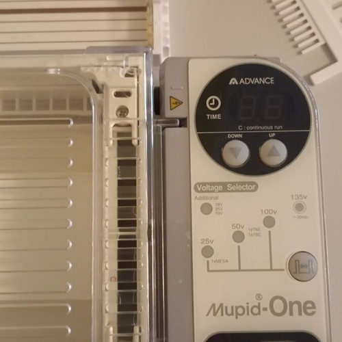 Horizontal Electrophoresis Device complete system like new