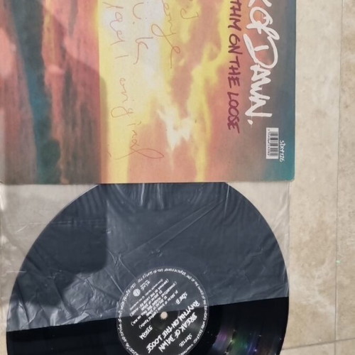 Vinyl record used