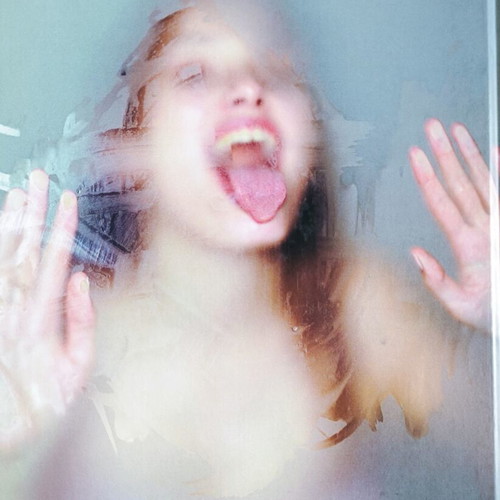 Diana Scheunemann photography hardcover book