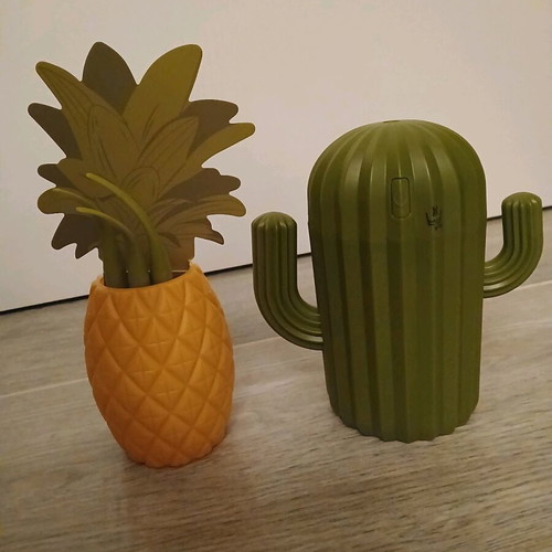 Cactus humidifier and pineapple pencil holder set new