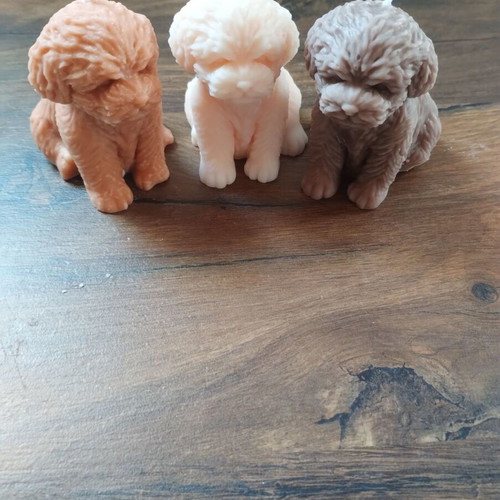 Aromatic candle puppies new, handmade chocolate caramel scent