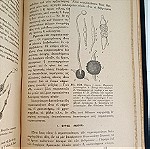  Εγχειρίδιον Μικροβιολογίας 1914