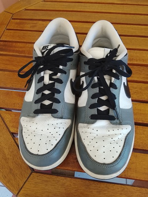 Nike Dunk Low sneakers used, size 43, tricolor white black grey