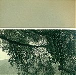  ΠΑΛΙΑ ΦΩΤΟΓΡΑΦΙΑ. ΔΕΛΦΟΙ. Αποψη . Φωτογραφία του 1936 Γάλλου φωτογράφου επικολλημένη σε χαρτόνι. Διαστάσεις φωτογραφίας 17,50 χ 23 εκατ. Με το χαρτόνι 31χ32 εκατ.