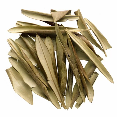 Olive tree leaves new dried from Greece