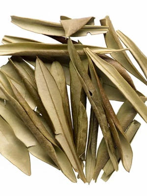 Olive tree leaves new dried from Greece