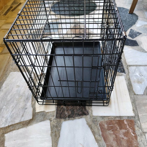 Dog cage like new