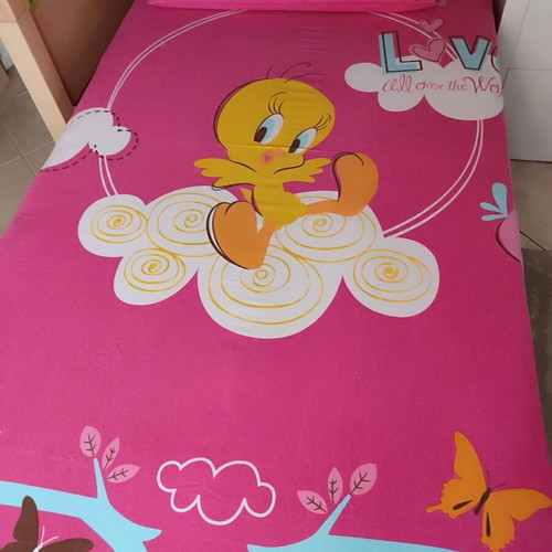 Viopros single cotton sheet set Tweety like new