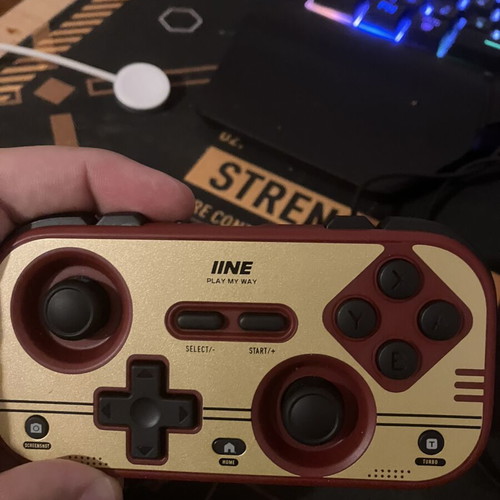 IINE Palm-Sized Retro Chronos Controller Pro for Nintendo Switch and PC