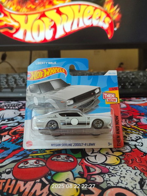 Hot Wheels Nissan Skyline 2000GT-R LBWK new