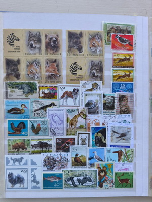 Album A4 16 pages like new with multinational animal stamp collection