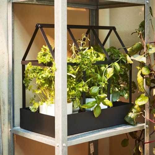 IKEA Senapskal Metal Decorative Greenhouse Planter New