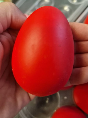 Decorative eggs set of 8 in case red