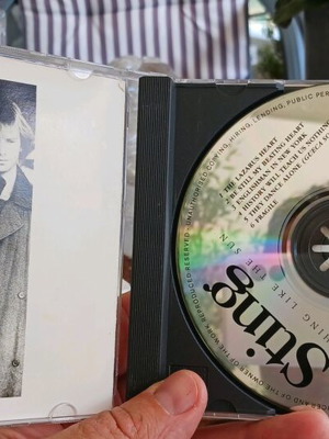 Sting Nothing Like The Sun CD used