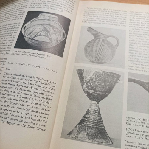 Book The Arts in Prehistoric Greece like new 1978