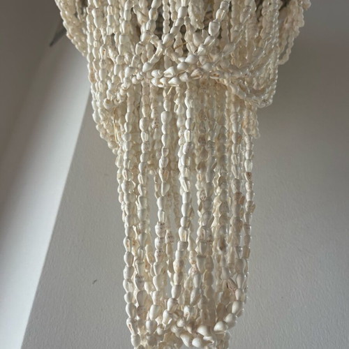 Chandelier used with natural shells