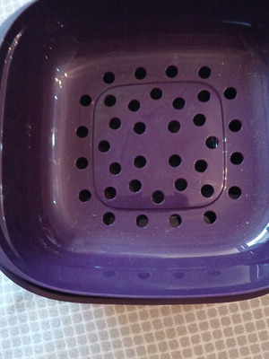 Tupperware container new