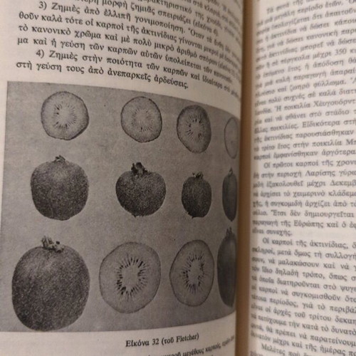 Kiwi fruit second edition in excellent condition