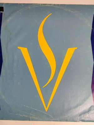 Shark Vegas You Hurt Me vinyl used, electronic music