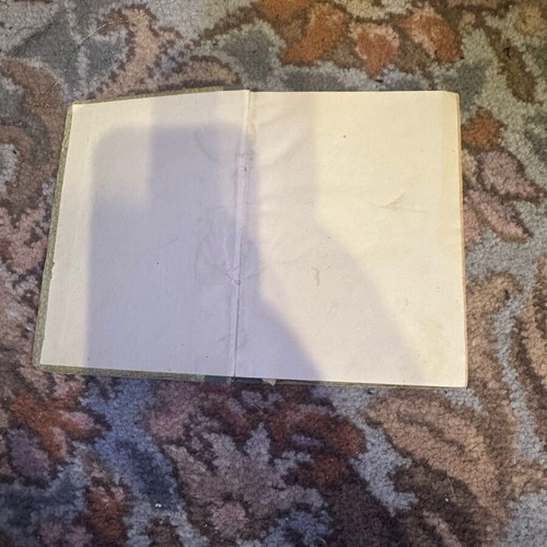The Lady with the White Horse used book from 1923
