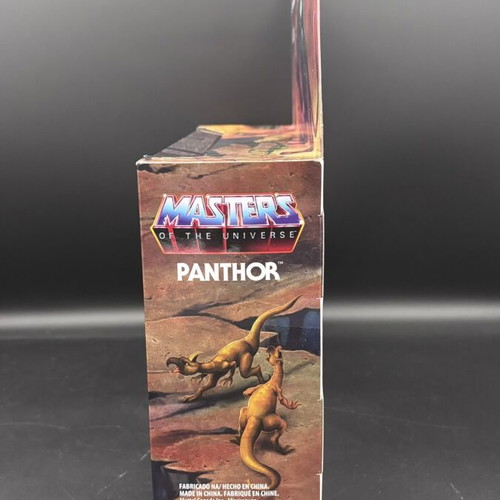 Masters of the Universe Origins Skeletor & Panthor Combo Pack new