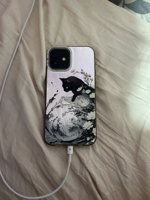 Apple iPhone 12 Mini 128GB black with case and charger