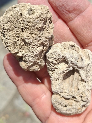 Travertine fossil, pack of 3, like new