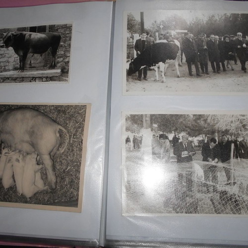 Agricultural and agronomy archive used with 196 clippings and photos