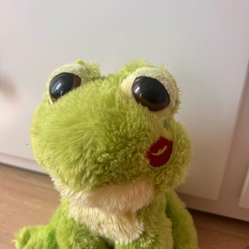 Aurora 10" Dreamy Eyes Fantabulous Frog Plush Toy like new