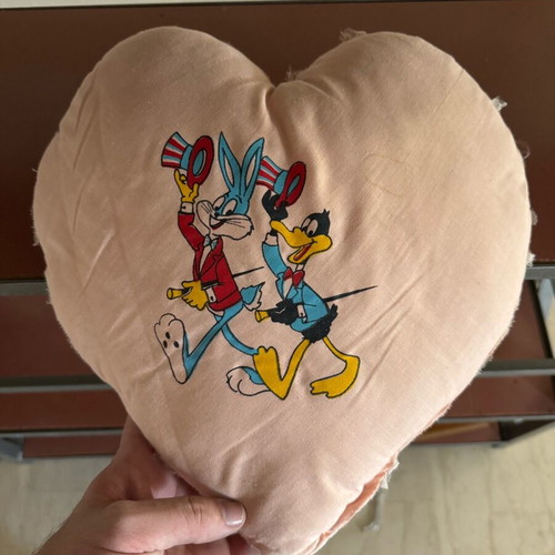Looney Tunes vintage children's pillow used