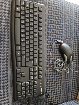 Logitech MK120 keyboard and Microsoft mouse