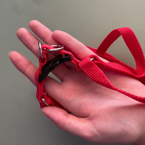 Simple red dog harness new, adjustable 1.5 cm width