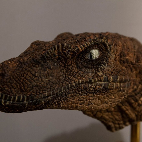Velociraptor dinosaur head handmade, made to order, Jurassic Park