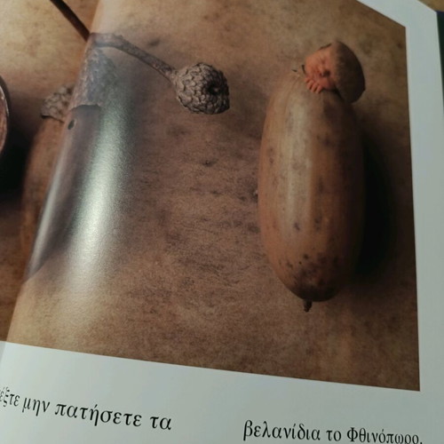 Book with photographic material by Anne Geddes new