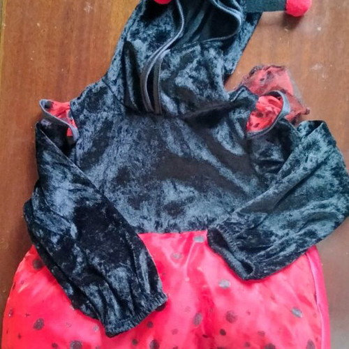 Baby costume Ladybug 12-18 months like new