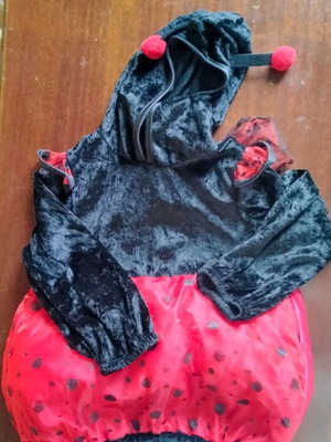 Baby costume Ladybug 12-18 months like new