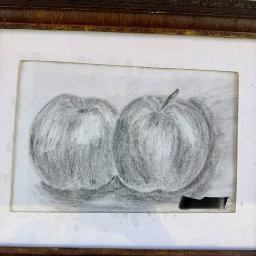 Framed black and white apple drawing