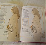  Βιβλίο Εσείς και η εγκυμοσύνη