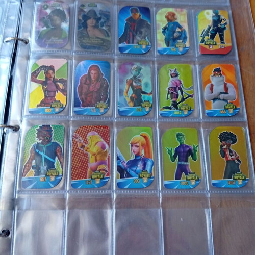 Collector's Album for Metal Tags 2018-2019 like new