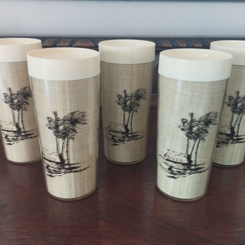 Thermo-Serv Vintage Insulated Tumblers Set of 5 Tahitian Holiday