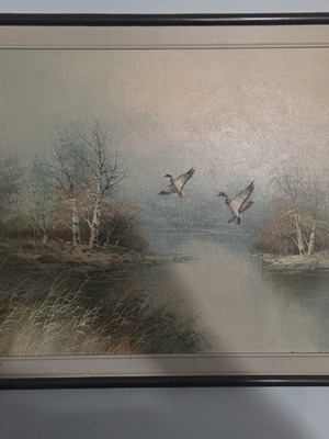 Painting 60×55 nature theme with ducks used