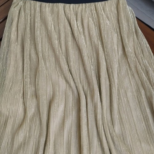 Pleated gold skirt one size like new